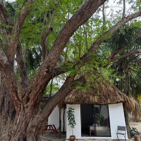 Cabanas Camping Ria Celestun Zewnętrze zdjęcie
